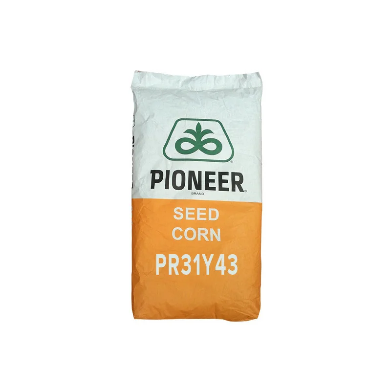 Seminte porumb Pioneer PR31Y43