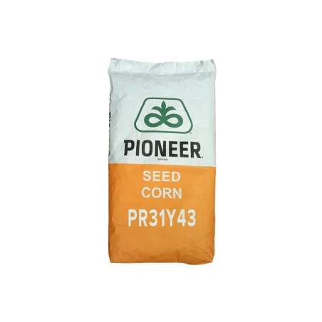 Seminte porumb Pioneer PR31Y43