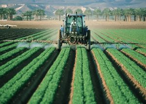 fungicide