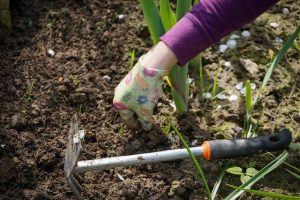 Ghid complet pentru alegerea erbicidului, în funcție de cultură