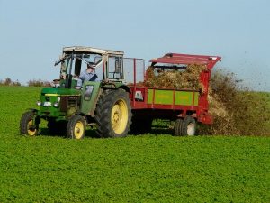 3 strategii de alegere a îngrășământului pentru plante, în funcție de cultură