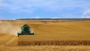 Sfaturi pentru recoltarea eficientă a culturilor de vară