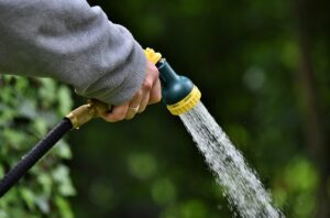 Cum eviți risipa de apă în agricultură? Trucuri pentru eficiență