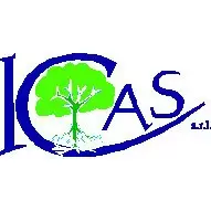 Icas