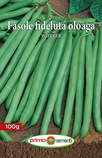 Seminte de fasole Wotter