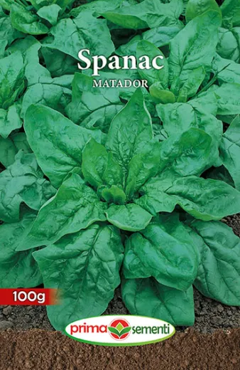 Seminte de spanac Matador 100gr