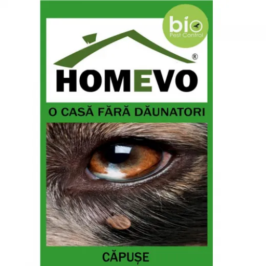 Homevo pulbere anti capuse BIO