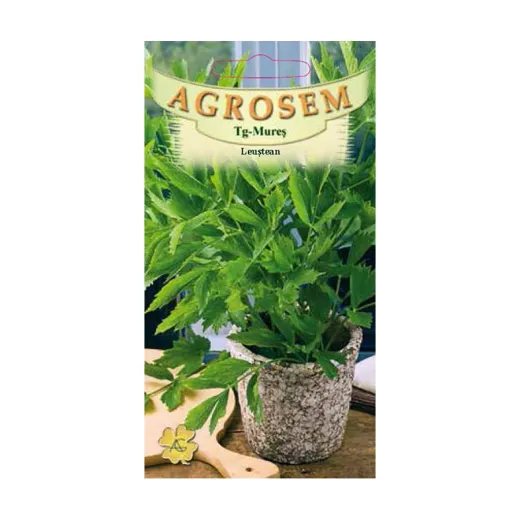 Seminte de leustean Agrosem, 4Gr.