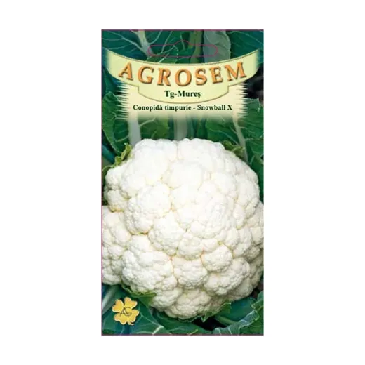 Conopida timpurie - Snowball X, Agrosem 4Gr.