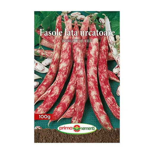 Seminte de fasole urcatoare - Borlotto Red, Prima Sementi 70g
