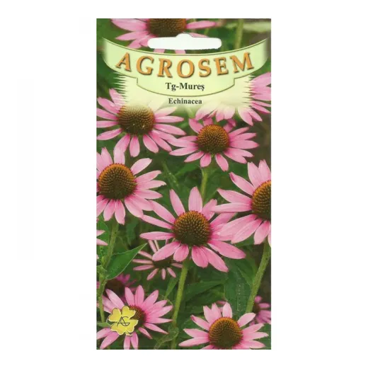 Seminte de echnicea, Agrosem 4Gr.