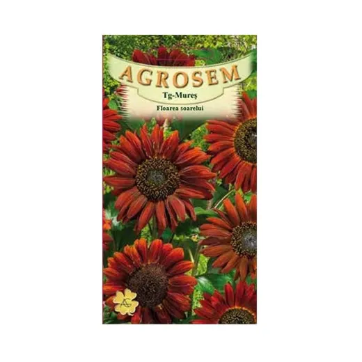 Seminte de floarea soarelui, Agrosem 4Gr.