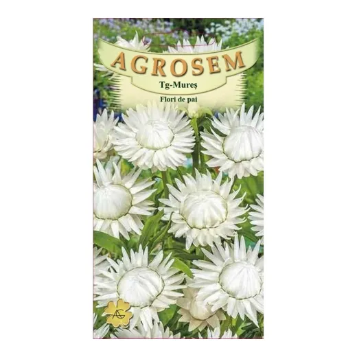 Seminte de flori pai alb, Agrosem 4Gr.