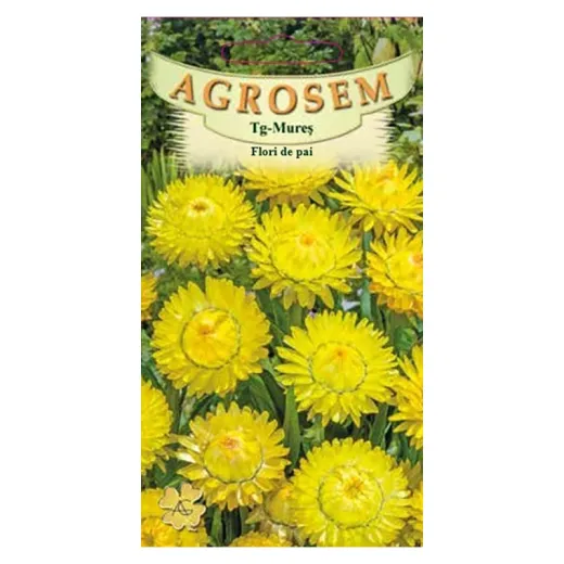 Seminte flori de pai galben, Agrosem 4gr.