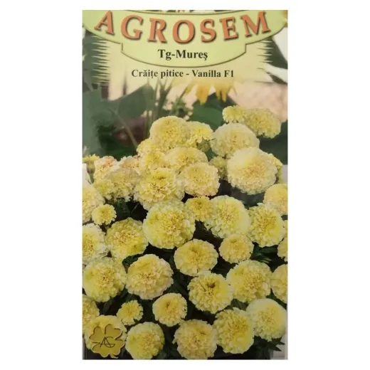 Seminte de flori craite pitice - Vanilla F1, Agrosem 4Gr.