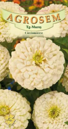 Seminte de flori Carciumarese alb, Agosem