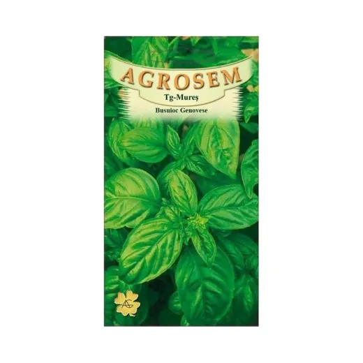 Seminte de busuioc Genovenese, Agrosem 10g