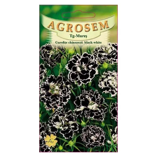 Seminte de garofe chinezesti black - white 0.5g