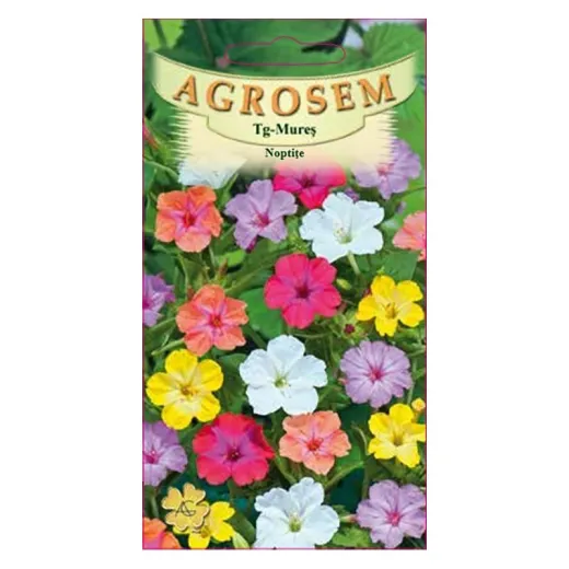Seminte de flori de Noptite, Agrosem 2gr.