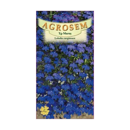 Seminte de lobelia curgatoare, albastra, Agrosem 0.10g