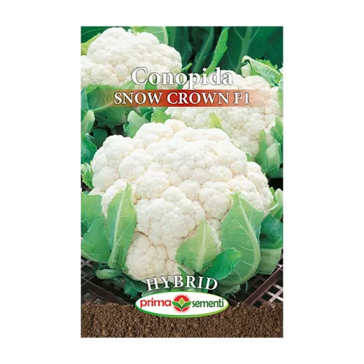 Seminte de conopida Snow Crown F1, Prima Sementi 0,4g
