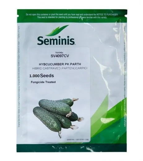 Seminte castraveti SV 4097 CV F1 1000sem
