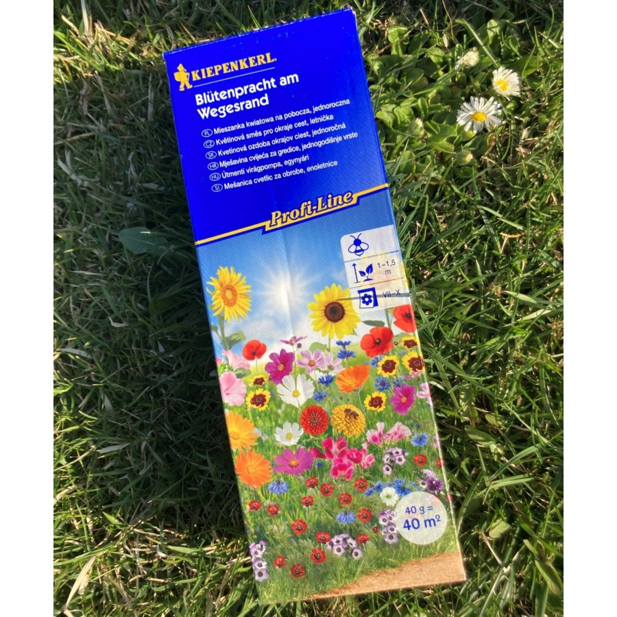 Alee înflorită KIEPENKERL