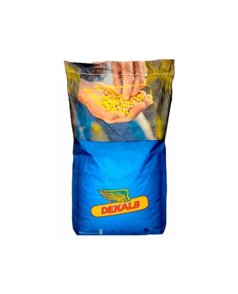 Seminte Porumb DEKALB DKC 4908, hibrid semi-timpuriu tratat cu Acceleron