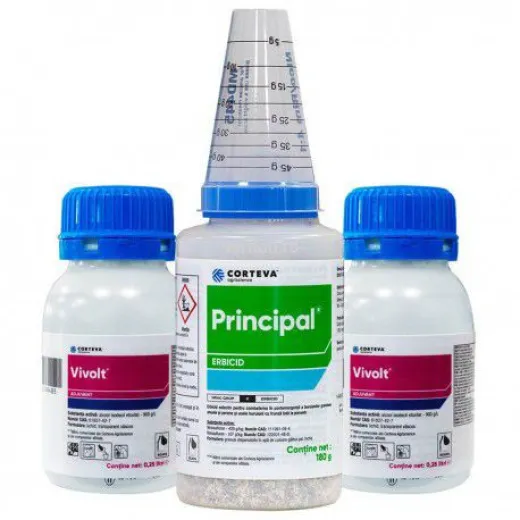 Principal 180 gr + 2 Vivolt 250 ml