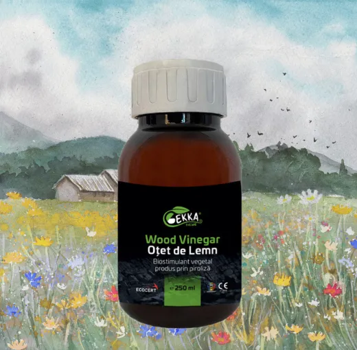 Oțet de Lemn GEKKA – 1L