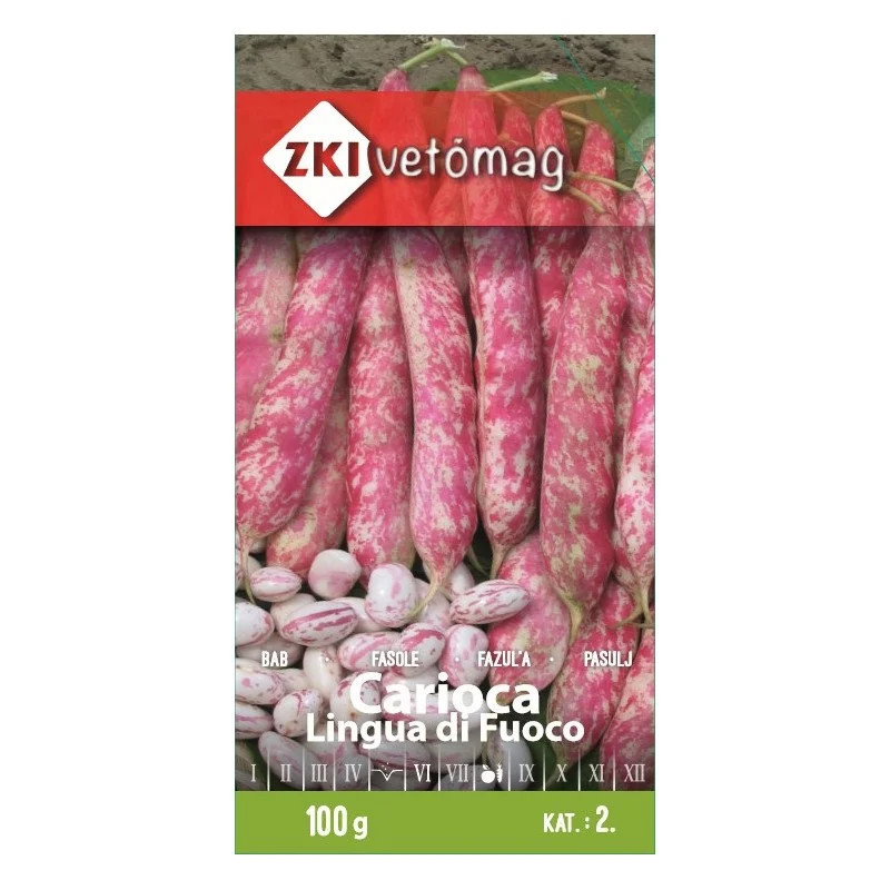Cutie seminte ZKI Fasole uscata Carioca „Lingua di Fuoco” 75 gr