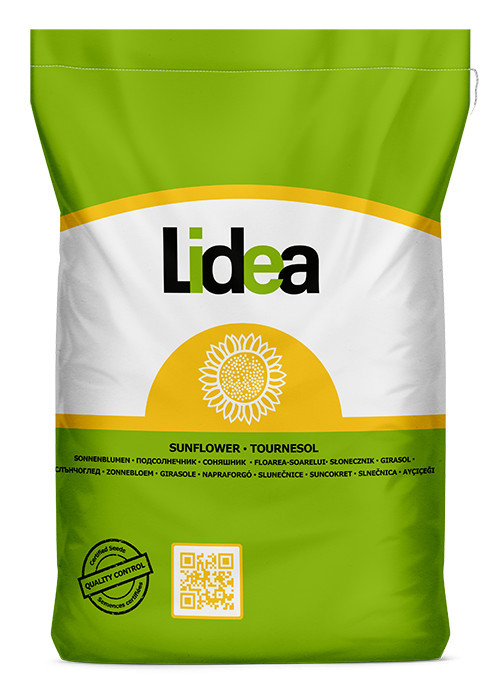 🌻 Semințe Floarea-Soarelui ES Belfis CLP – Lidea (150.000 semințe)