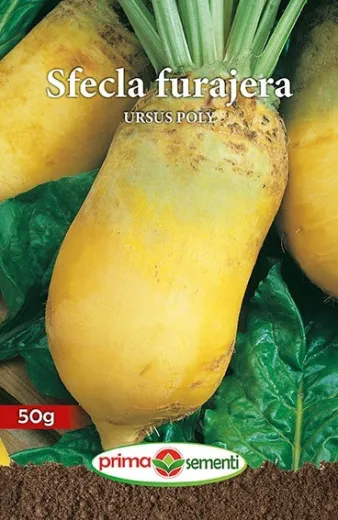 Seminte de sfecla furajera Ursus Poly 50 g