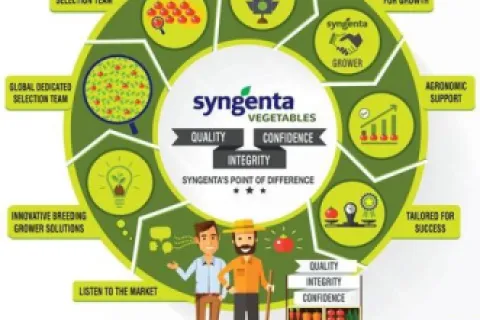 Compania Syngenta