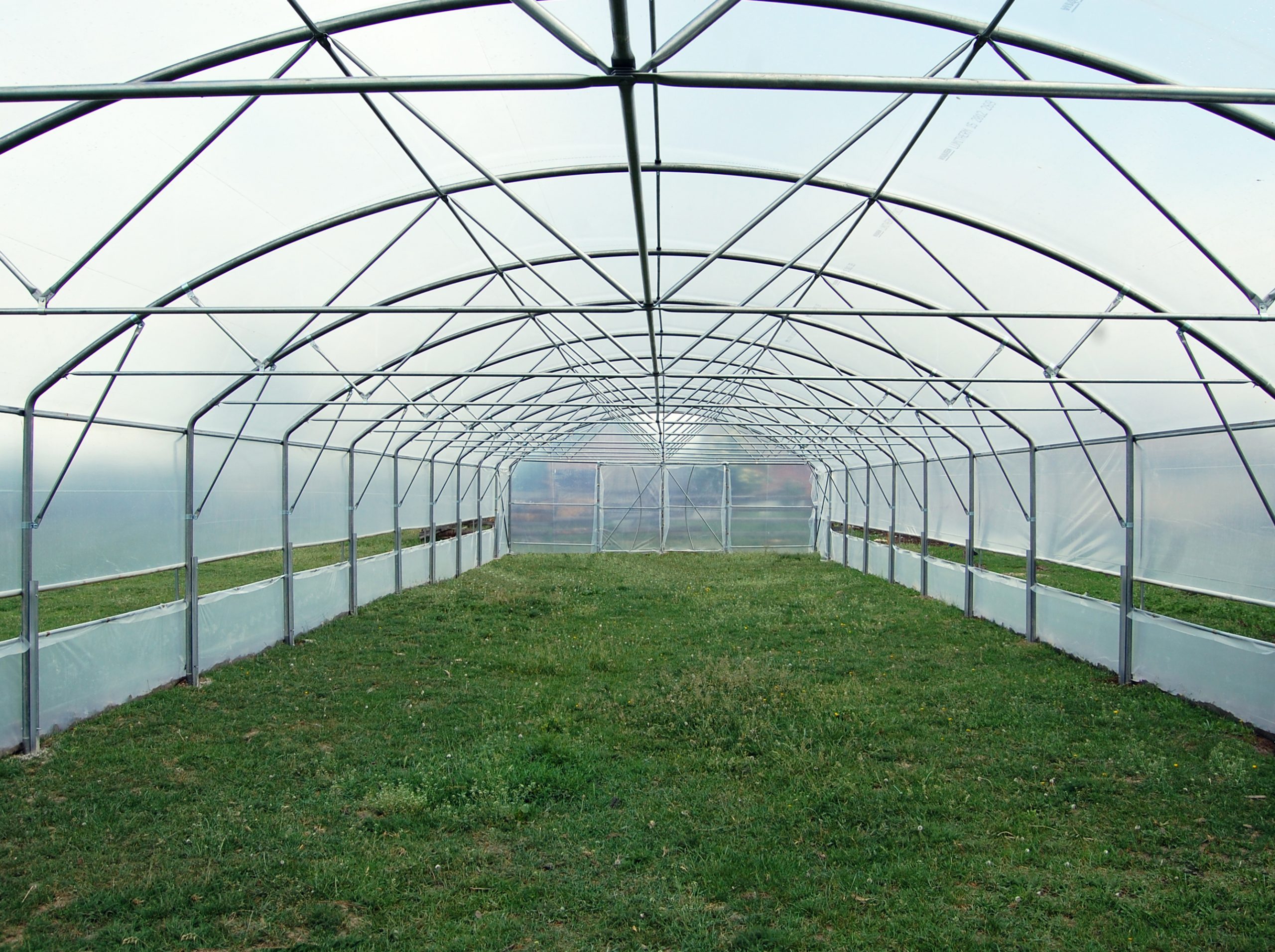 Fertilizarea culturilor de legume în sere și solarii. Sfaturi practice