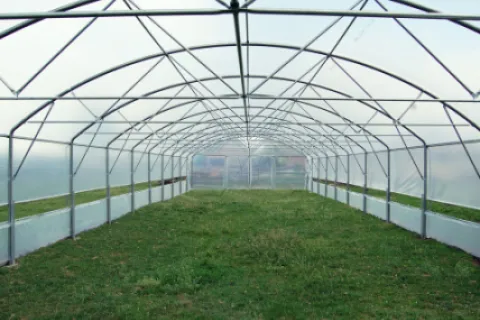 Fertilizarea culturilor de legume în sere și solarii. Sfaturi practice