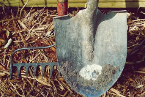 Principalele lucrări agricole din luna martie