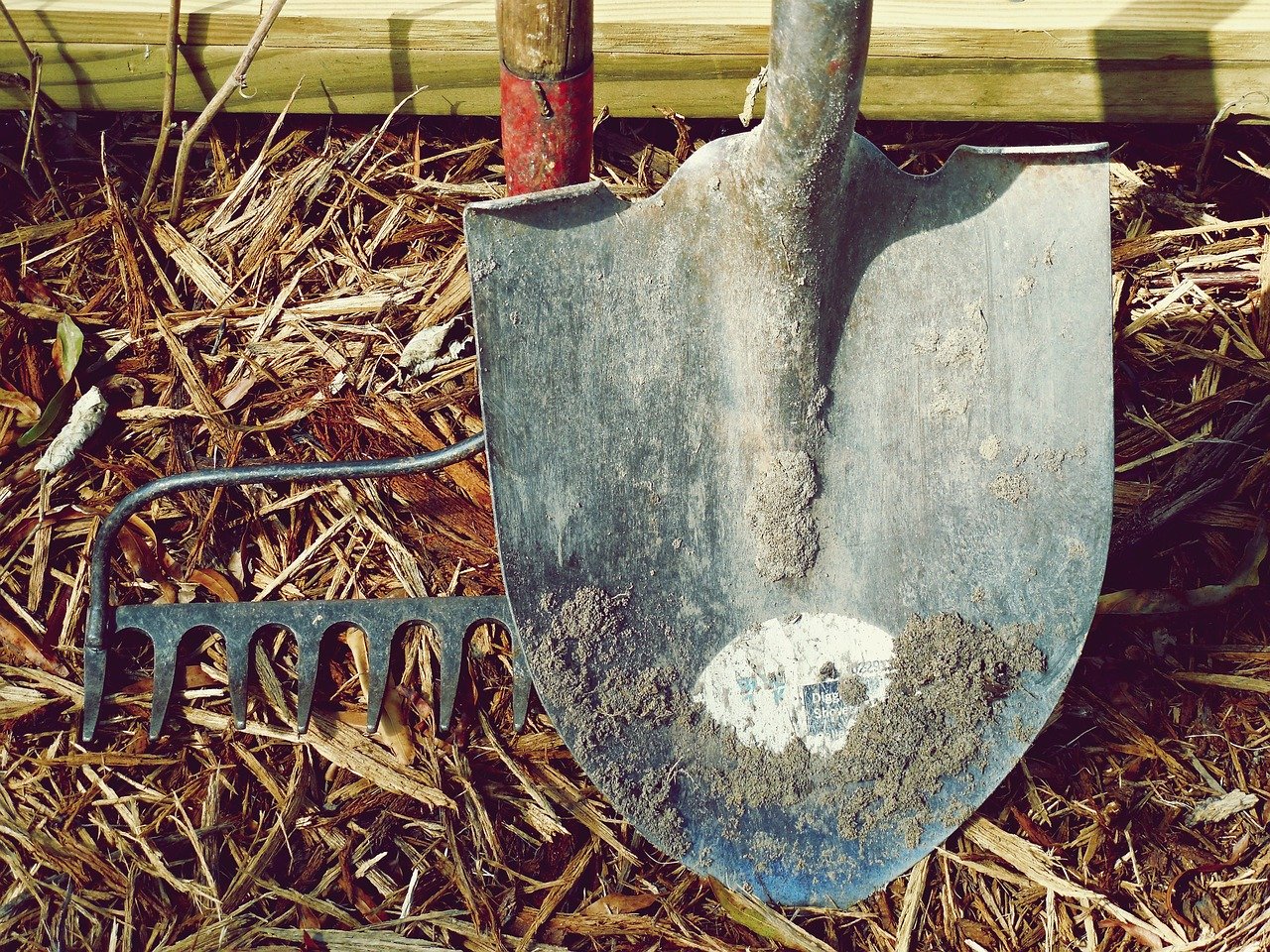 Principalele lucrări agricole din luna martie