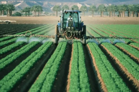 Tot ce trebuie să știi despre fungicide