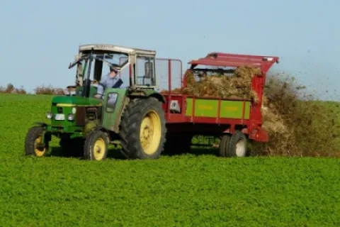 3 strategii de alegere a îngrășământului pentru plante, în funcție de cultură