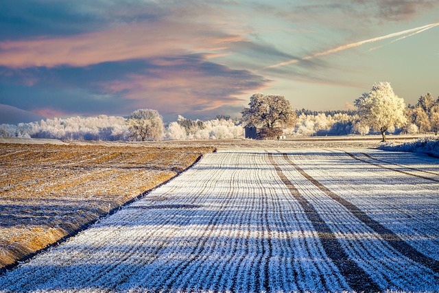 Ghidul principalelor lucrări agricole din ianuarie