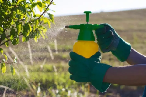 Clasificarea insecticidelor: Tipuri, aplicații, avantaje și dezavantaje