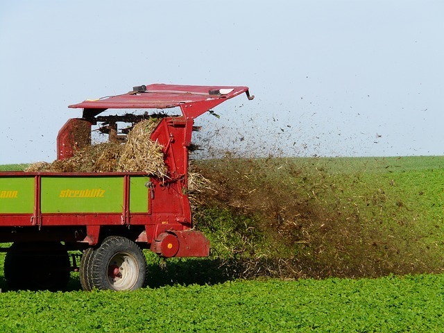 Cele mai bune îngrășăminte naturale: Clasificare și avantaje