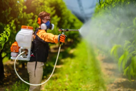 Stropirea pomilor. Cele mai bune produse pentru lucrările de primăvară