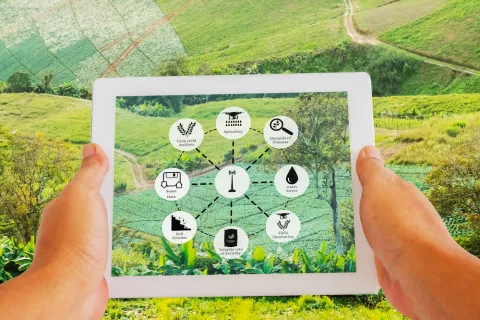 Agricultura de precizie: Top 5 beneficii pentru diferitele culturi