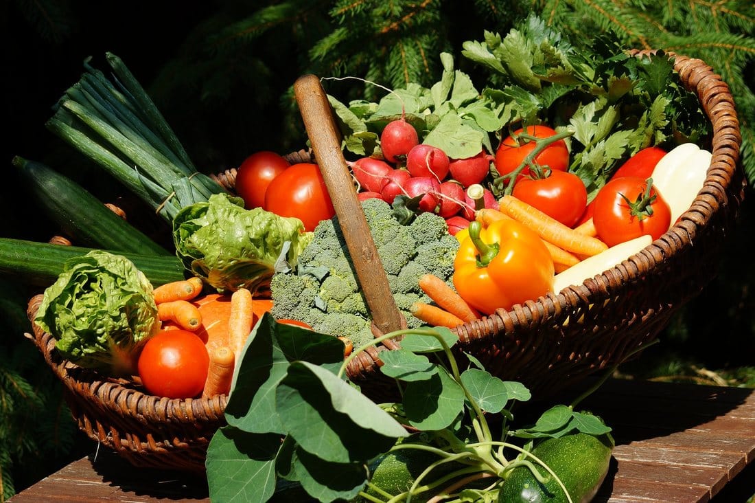 Cele mai bune seminte de legume care pot fi plantate in gradina