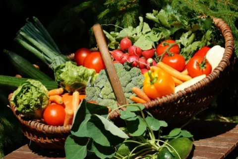 Cele mai bune seminte de legume care pot fi plantate in gradina