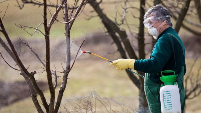 Cele mai bune insecticide de folosit toamna! Protejeaza-ti culturile de daunatori