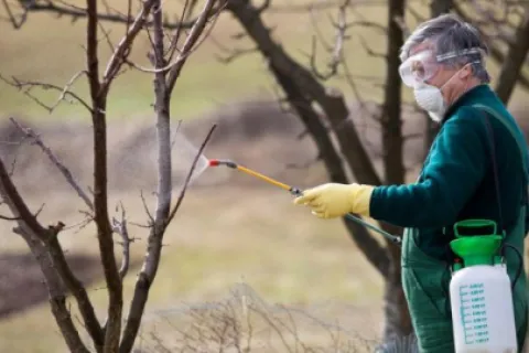 Cele mai bune insecticide de folosit toamna! Protejeaza-ti culturile de daunatori