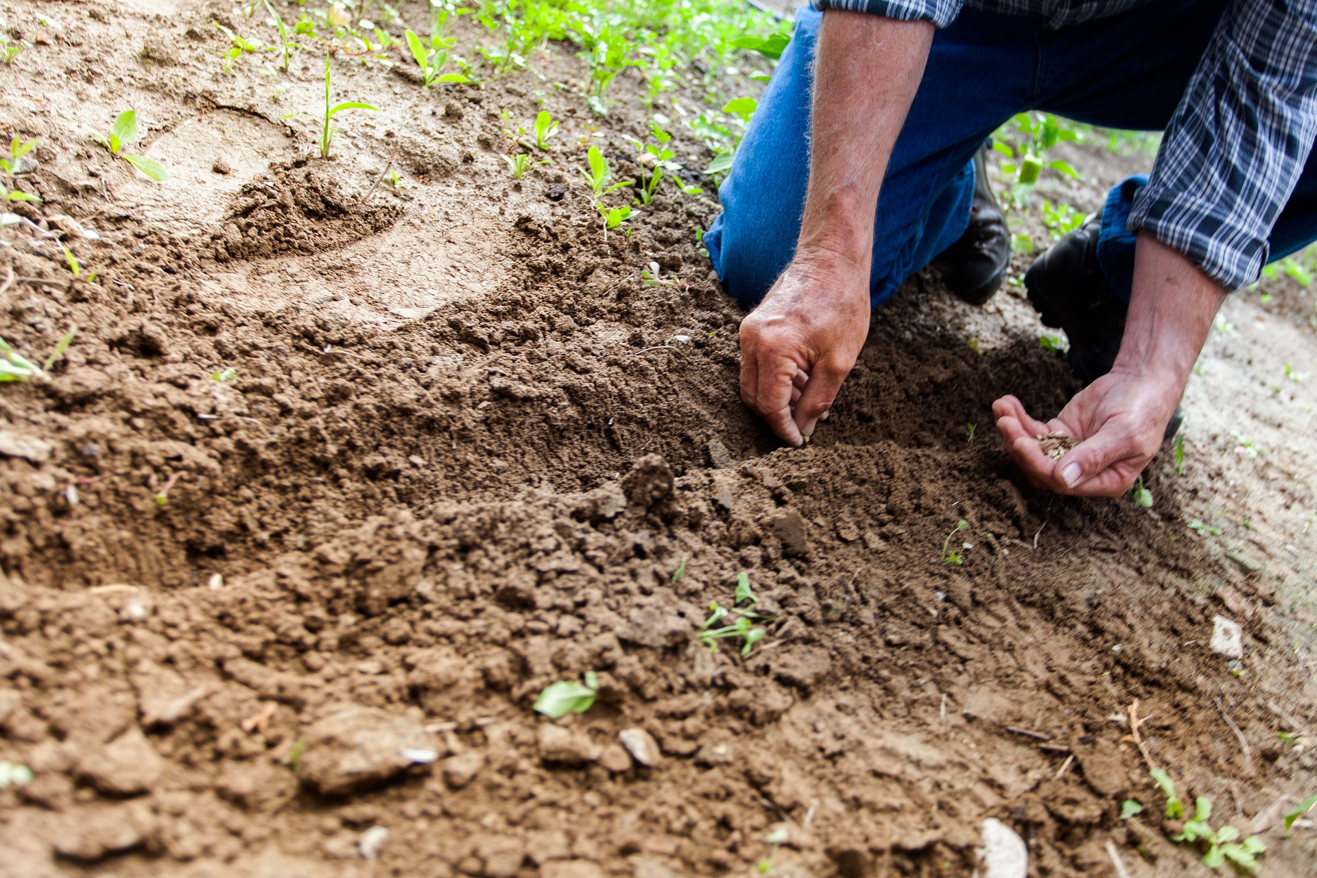 Principalele lucrări agricole în aprilie